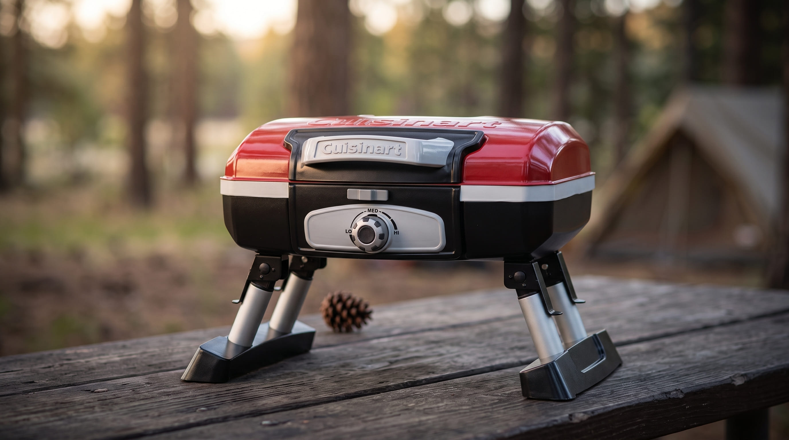 Cuisinart Petite Gourmet Grill Review 2026 Cuisinart Petite Gourmet Grill Review 2026